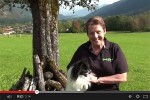 Fortschritte mit Speedy - Floh (08. Oktober 2014)  - © www.lucky-dog.at